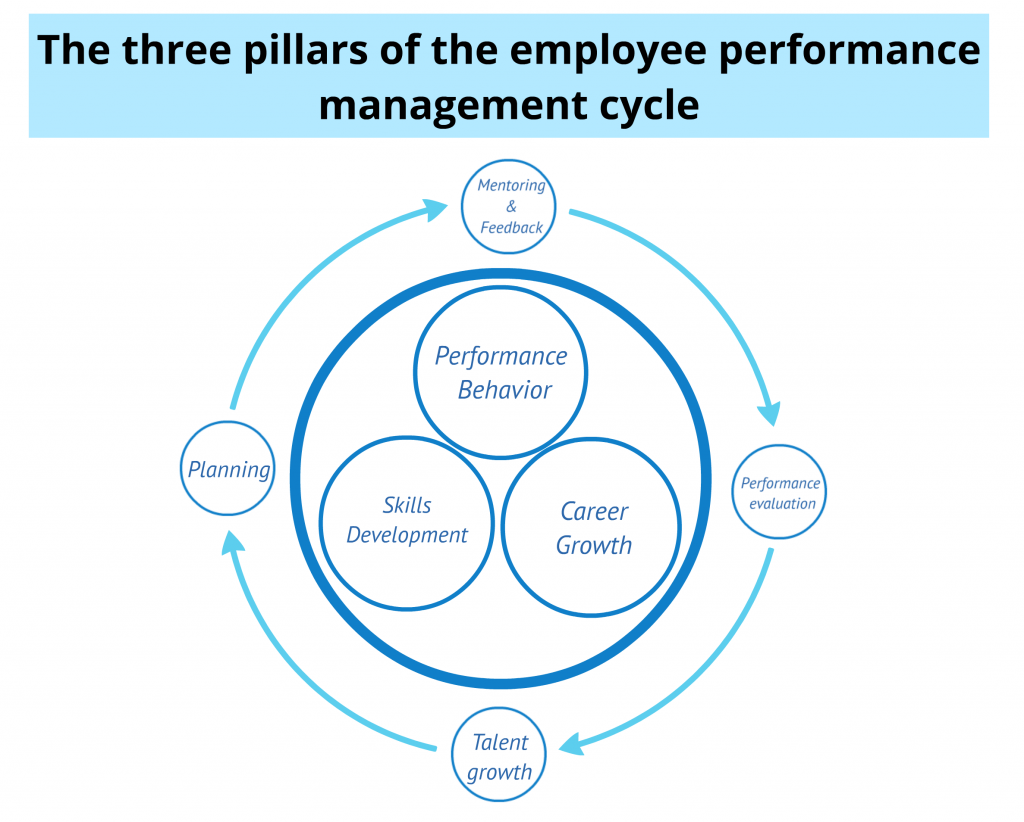 Pillars of the employee performance management cycle